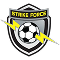 Miami Strike Force 1