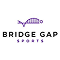 bridgegapsports_logo 1 bridgegapsports_logo 1